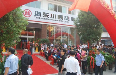 浙东小额贷款有限公司