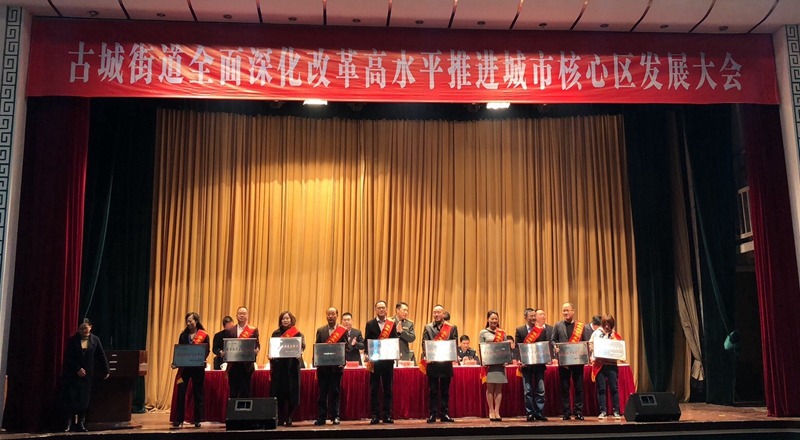 mansion88明升集团被评为2017年度服务业行业龙头企业，常务副总裁王盛被评为优秀共产党员