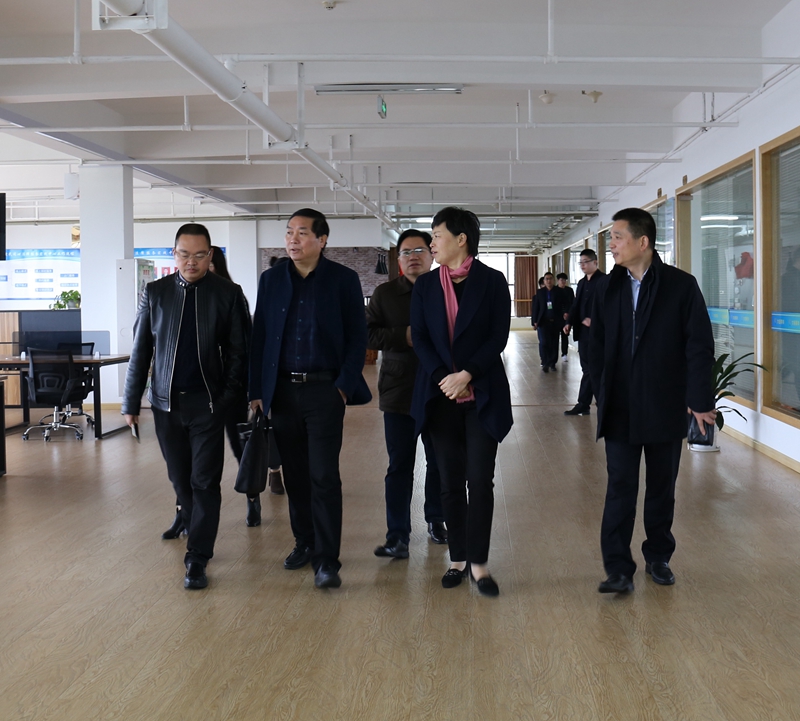 临海市副市长许黎野一行莅临mansion88明升（浙东）电商产业园指导工作