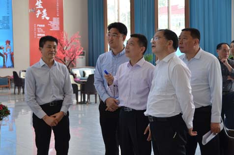 安徽六安市政协副主席黄应松莅临丁集婚纱特色小镇项目现场调研