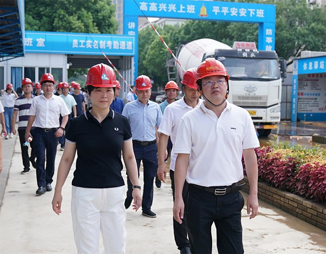 临海市委副书记、市长王丹到花街旧村改造项目考察