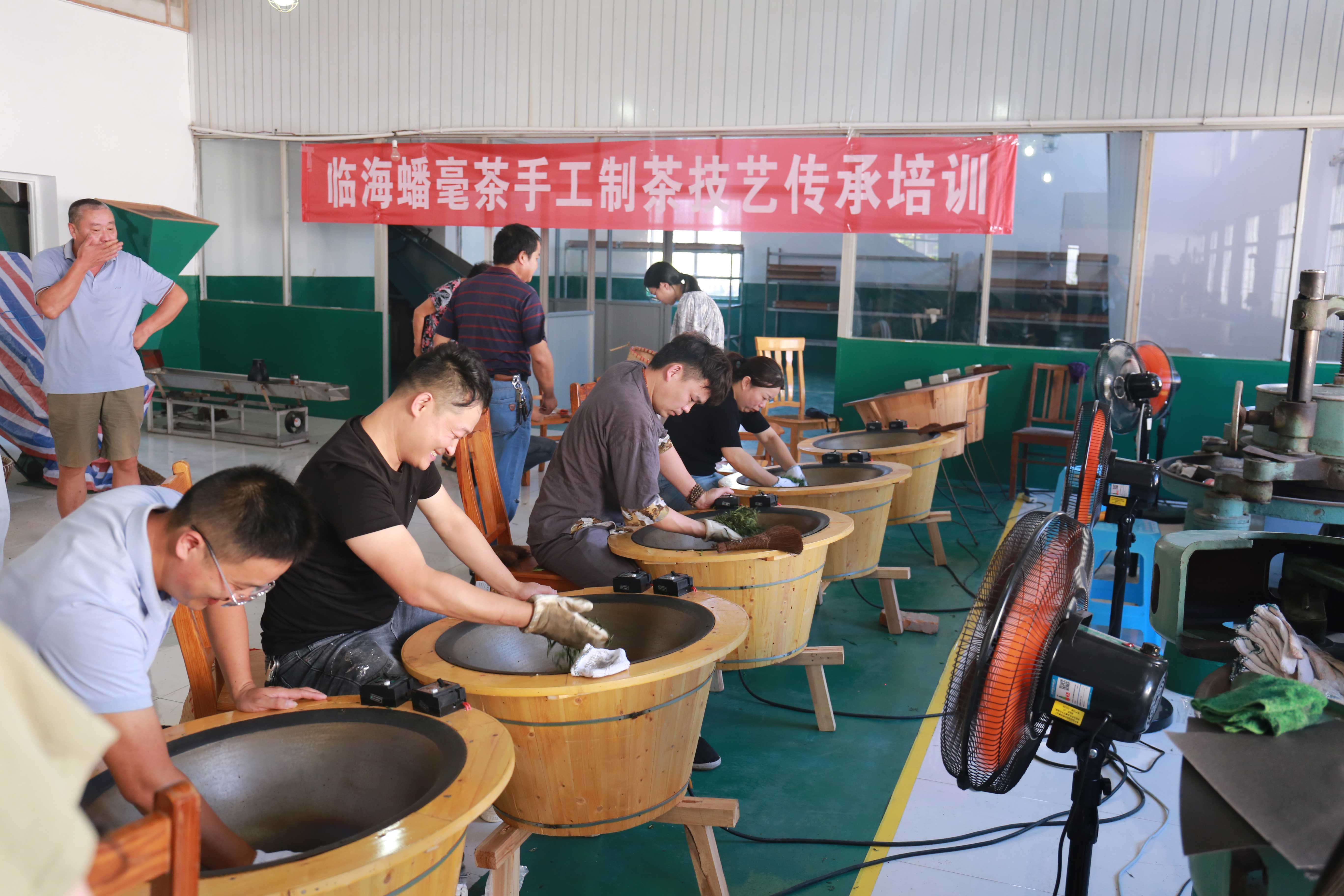 紫砂岙茶叶精制二厂举办手工制茶技艺传承培训 ——大田公社拍摄团队宣传茶文化